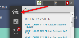 My Blackboard button