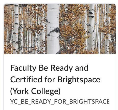 Self-paced course on be ready and certified for Brightspace