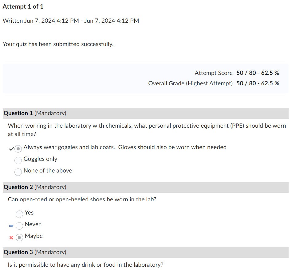 Student submitted attempt on quiz