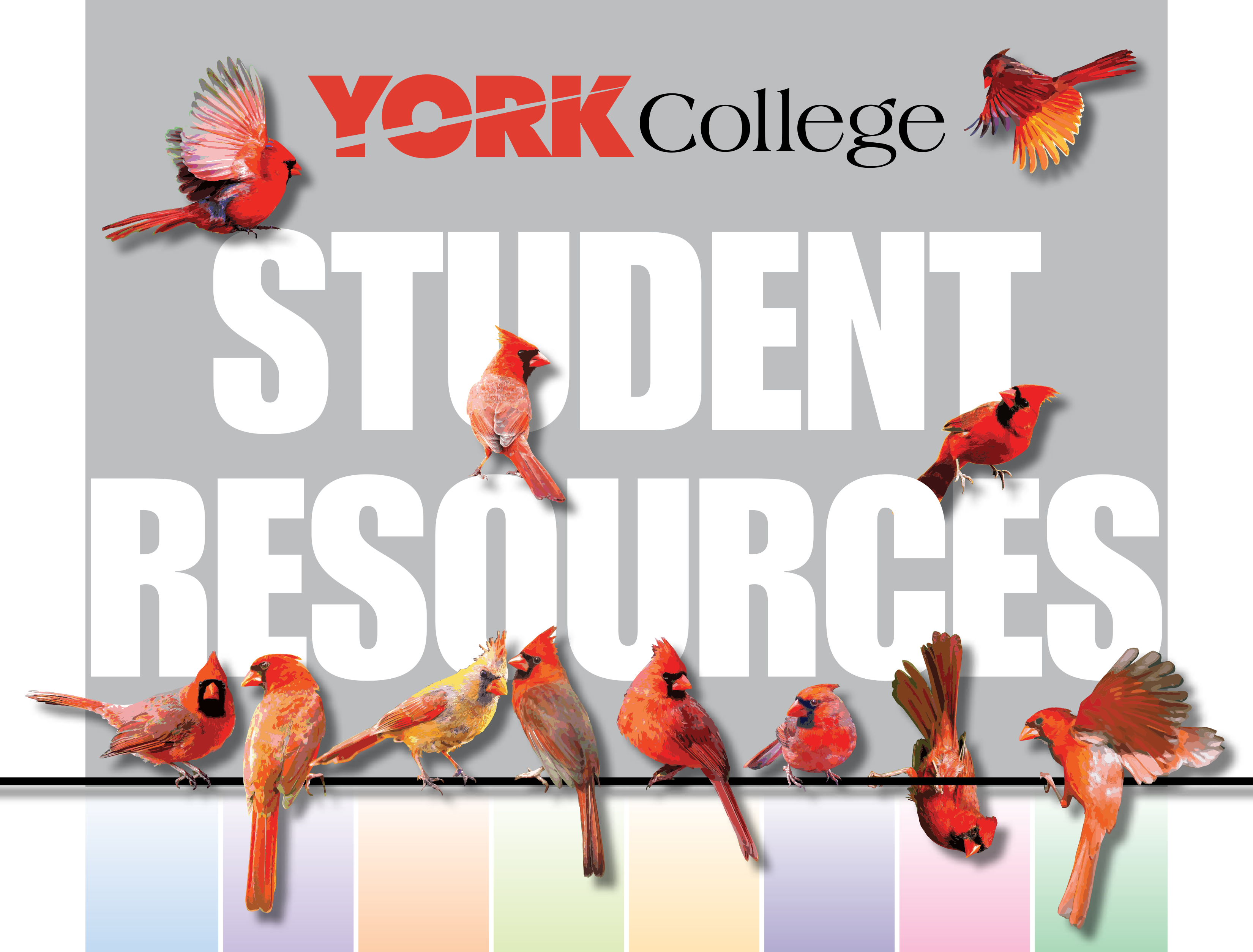 York College Student Resources — York College / CUNY