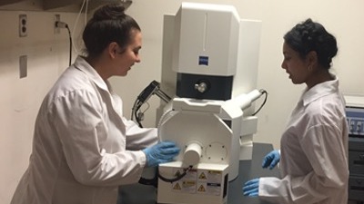 Students working in a lab